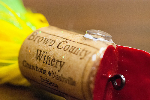 Jr. Wine Cork - topview by Warmwater Chronicles